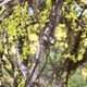 Image for article titled Hotter Fires Could Mess With Entire Food Webs